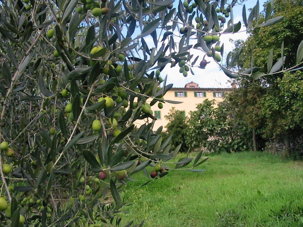 Hotel Relais Palazzo Di Luglio Sansepolcro Zewnętrze zdjęcie